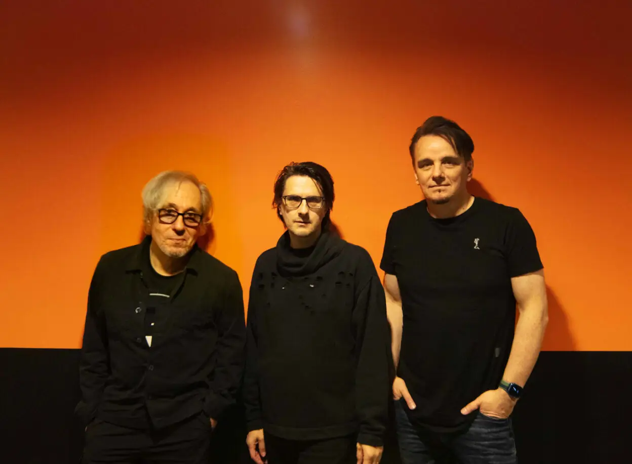 porcupine tree