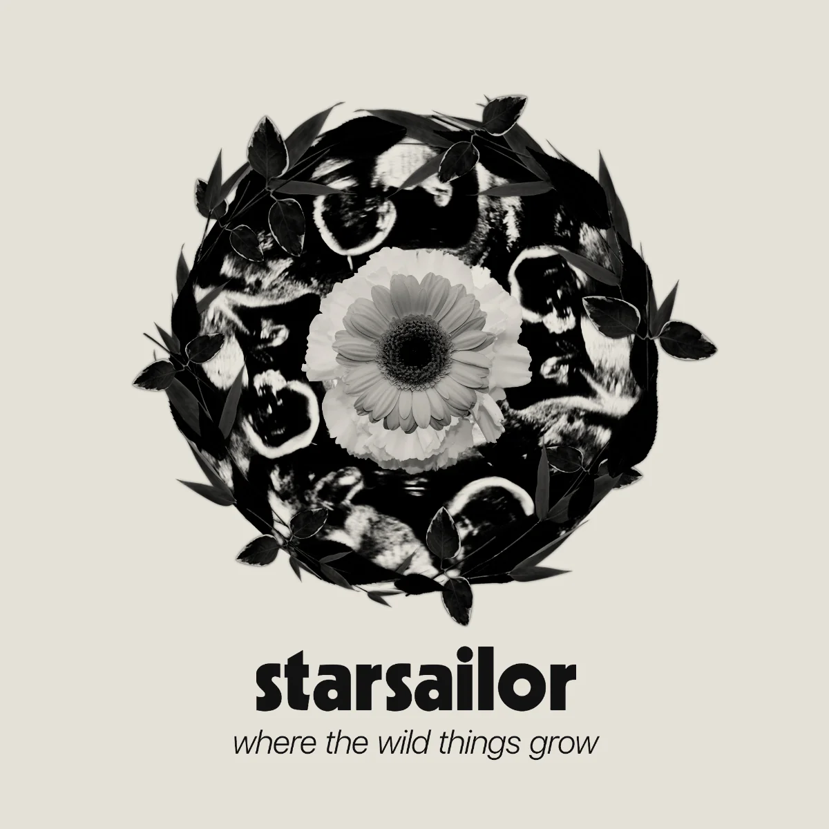 Starsailor