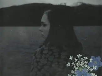 ALBUM REVIEW: Soccer Mommy – Evergreen