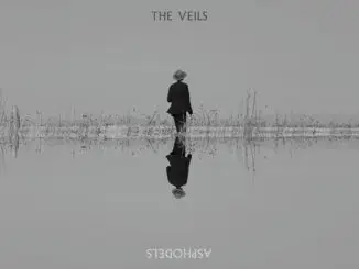 The Veils