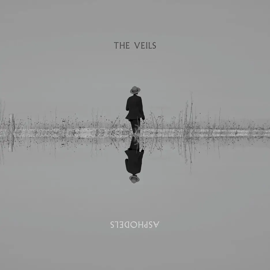 The Veils