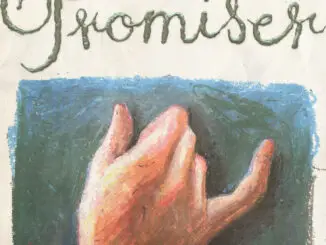 Ciaran Lavery & Bear's Den - Promiser